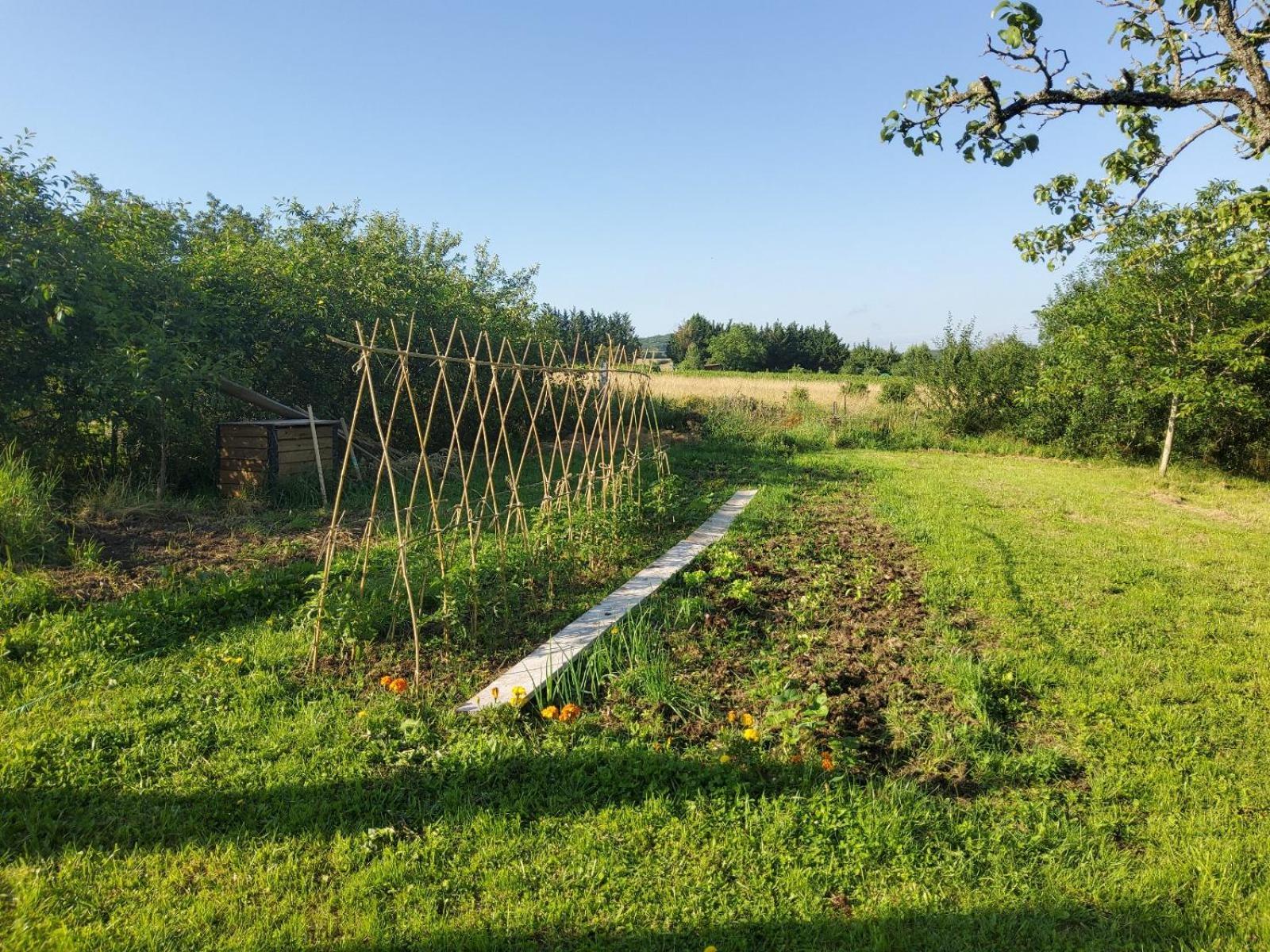 Bed and Breakfast La Parenthese A Etrigny Esterno foto